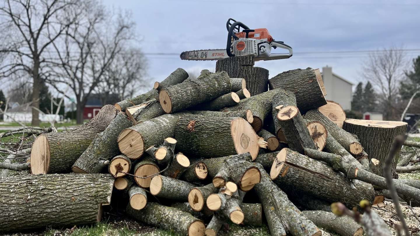 A stacked pile of freshly cut hardwood logs on a lawn with a chainsaw resting on the top stump, bare trees and a red barn behind.